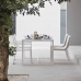 Blau Dining Chair