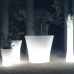 Bones Planters