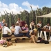 Hopper Picnic