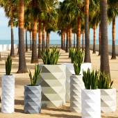 Marquis Planters