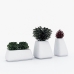 Moma Planter