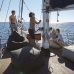 Sail Outdoor