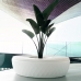 Vases Planters