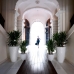 Vases Planters