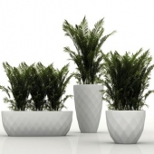 Vases Planters