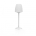 Vases Floor Lamp