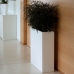 Wall Planters