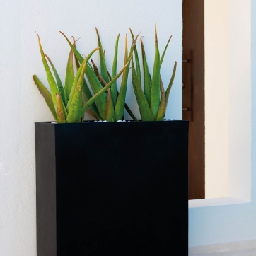 Wall Planters